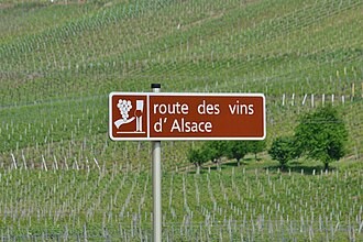 Route des vin d'Alsace, vineyard