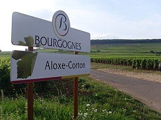 Vineyard Pinot Noir Grape in Aloxe-Corton, Burgundy.