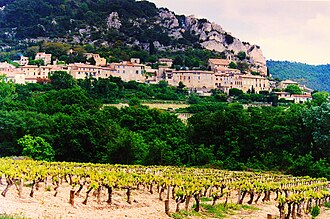 Rhône vineyard with a hilltop village in the background.
