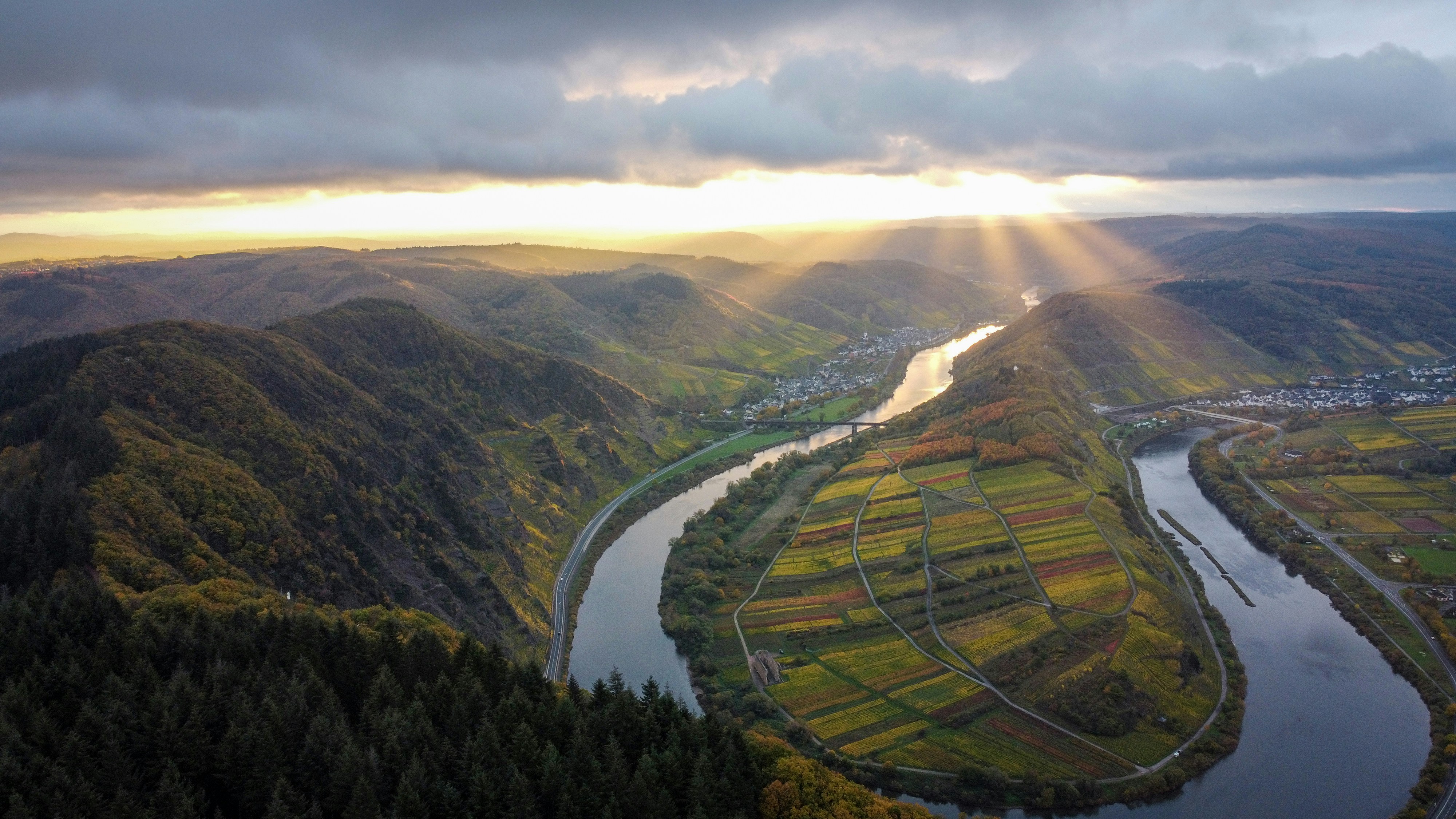 German Vinyards Mosel
